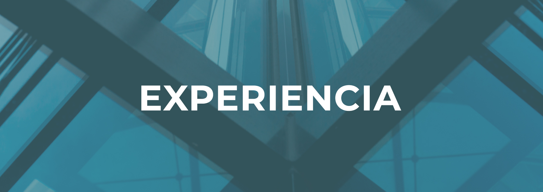 Experiencia